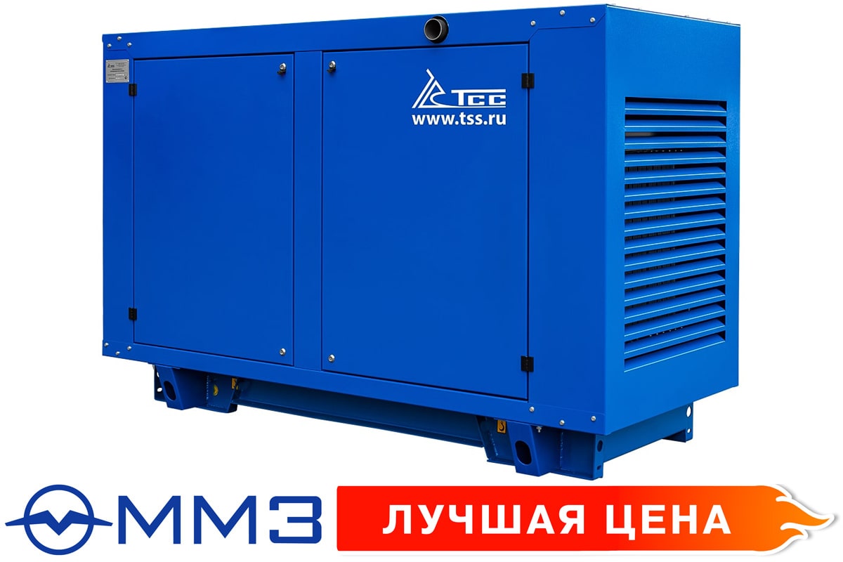 Дизельный генератор ТСС АД-60С-Т400-2РПМ1 (Абакан)